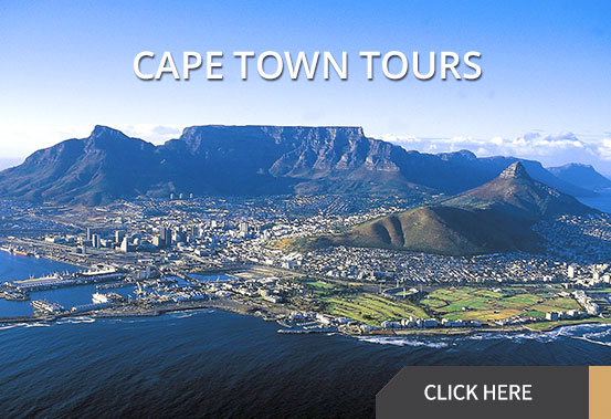 Half and Full Day Tours | Cape Town Tours | Johannesburg Tours